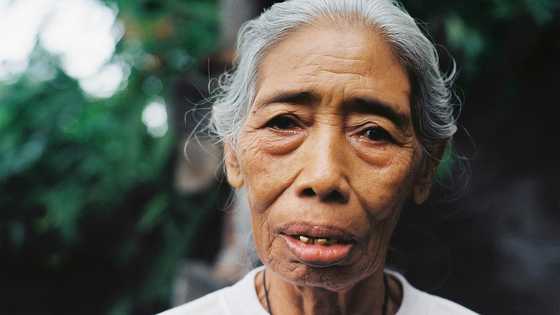I became guardian of my four grandkids at 71—six months later, a letter changed everything