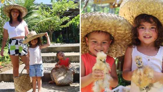Andi Eigenmann, ibinahagi pics ng pagbisita nila sa isang farm na sobrang ikinatuwa nina Lilo at Koa