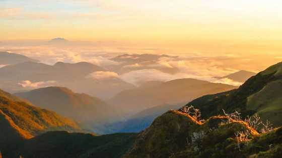 An overview of the beautiful Mt. Pulag: What to bring and expect while hiking