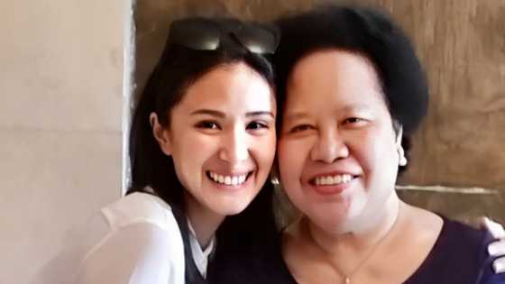 Heart Evangelista remembers late Miriam Defensor-Santiago on 9th death anniversary
