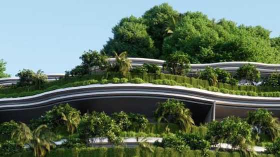 Monterrazas de Cebu developer issues statement on DENR findings