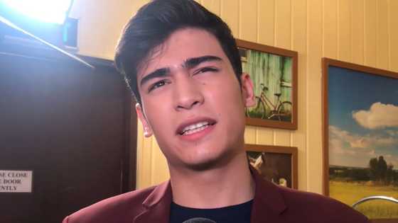 Diego Loyzaga's alleged reaction to Marco Gallo’s post goes viral, Fashion Pulis shares screenshot