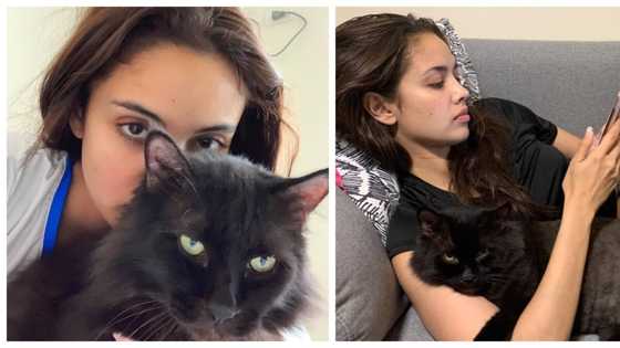 Megan Young mourns death of her cat Salem: “He was with us for 13 years”