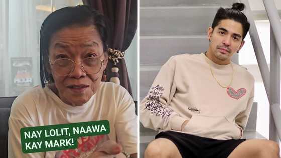 Lolit Solis, nag-react sa pag-perform umano ni Mark Herras sa male entertainment bar