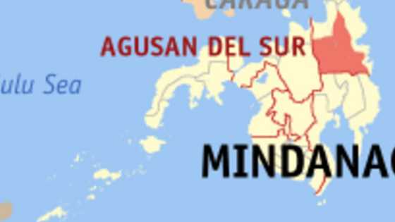 Mga insekto at ibon, nagliparan matapos ang lindol sa Agusan del Sur