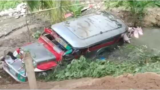 Jeep na may kargang 18 baboy, nahulog sa bangin; 2 patay at 3 sugatan