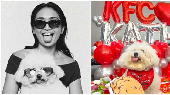Kathryn Bernardo shows fun KFC moments with pet dog Snowy