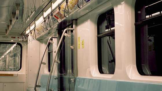 Mga pasahero, na-stranded sa LRT-1 EDSA Station dahil sa natumbang puno