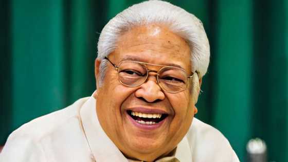 Edcel Lagman, beteranong mambabatas at presidente ng Liberal Party, pumanaw na