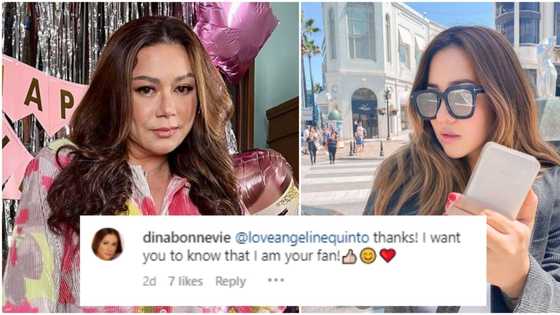 Dina Bonnevie reacts to Angeline Quinto's birthday greeting for her: "I am your fan"