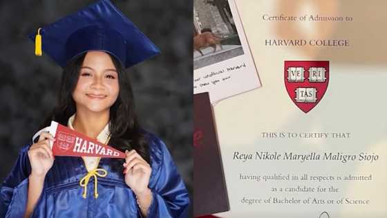 Estudyanteng nakapasok sa Harvard, may inamin tungkol sa Mobile Legends