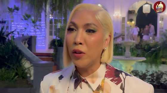 Vice Ganda, ibinunyag ang dahilan ng pag-atras ni Ion Perez sa 2025 Elections