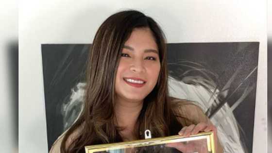 Angel Locsin defends Vice Ganda against demeaning "komedyante" comment