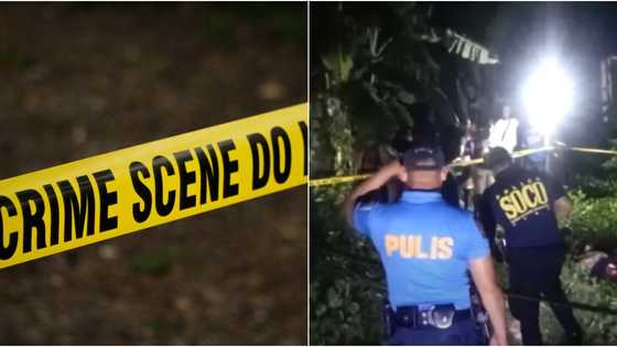 Man hacks neighbor to death, says he got fed up by being repeatedly taunted by victim