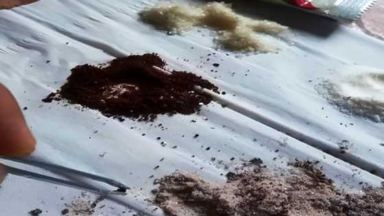 Babaeng sobrang bored, nilibang sarili sa pamamagitan ng paghiwalay sa mga sangkap ng 3-in-1 coffee