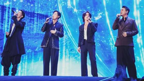 F4 reunites on stage after 12 years; performs ‘Meteor Rain’