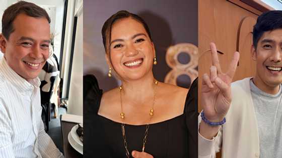 Sylvia Sanchez breaks silence on alleged wedding tension between John Lloyd Cruz, Robi Domingo