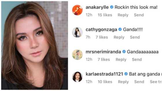 Mariel Padilla wows netizens with stunning photo, gains praises from celebrities