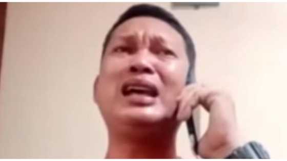 Driver na umano'y nag-angas sa viral video, napaiyak nang maipa-Tulfo