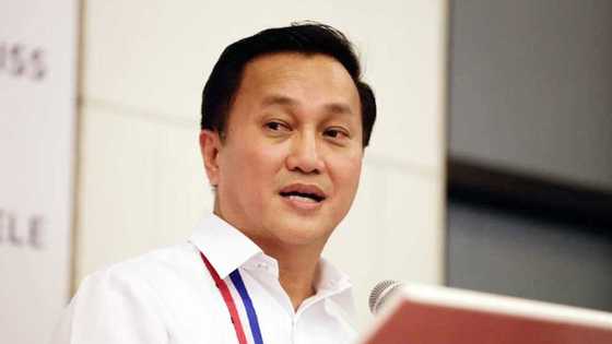 Francis Tolentino bio: wife, age, education, net worth, achievements