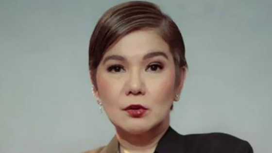 Amy Perez, umalma sa nagnakaw at gumamit ng video niya para sa fake ad