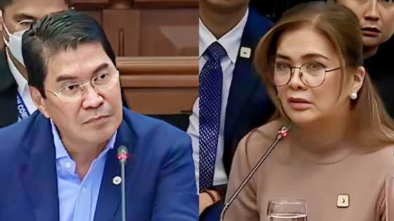 Contractor explains senate visit: It was for Senator Tulfo's leaky terrace