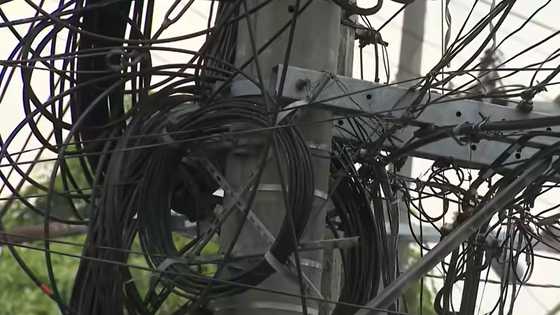 Alleged cable thief in critical condition after power line mishap