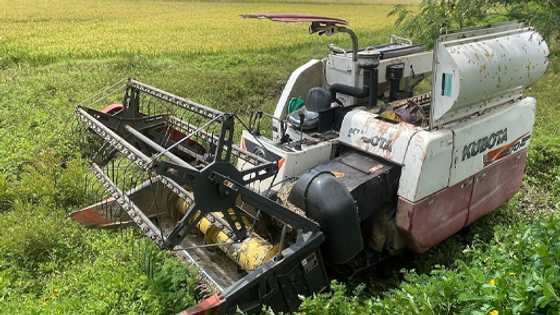 Iloilo farmer dies in horrific accident after being caught by mechanical harvester