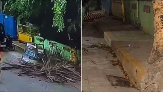 51-anyos na lalaking inutusan umakyat sa puno ng niyog, patay matapos mahulog