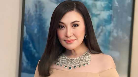 Sharon Cuneta, sinimulan ang bagong yugto sa buhay sa pamamagitan ng paglunsad ng sariling kumpanya