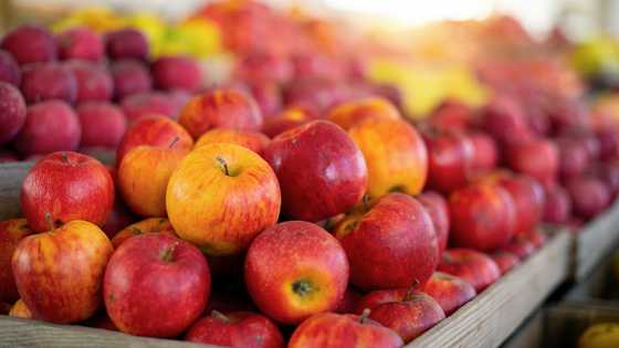 I bought apples for a mother with 2 kids — 3 days later, a police officer came looking for me