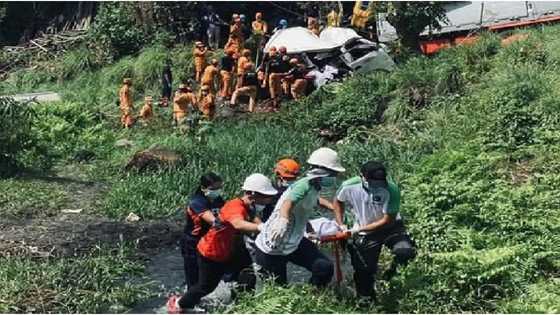 11 dead after UV Express and truck collision in Albay