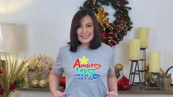 Sharon Cuneta shows off her stunning look for ABS-CBN Christmas station ID 2021