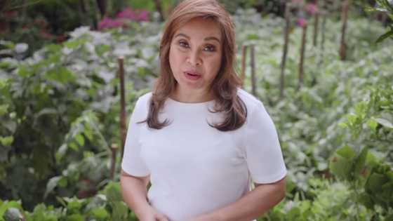 Bunsong anak ni Loren Legarda, pinuri ang kanyang ina: "Exemplary public servant"