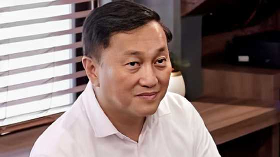 Former Senator Francis Tolentino on China sanctions against him: “A badge of honor”