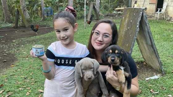 Melissa Ricks, tinanong ng netizen kung papapasukin ang anak sa showbiz: "Hindi siguro"