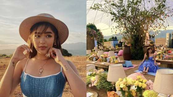 Pictures from Andrea Brillantes' birthday picnic celebration go viral