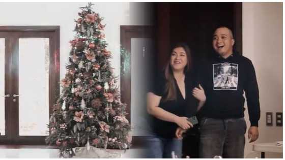 Angel Locsin at Neil Arce, pinakita ang kanilang Christmas tree na may sentimental value