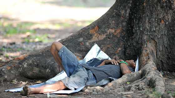 Homeless man offered free lessons to poor kids – 7 years later, he received an invitation letter