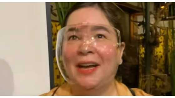 Jaclyn Jose, susubok sa audition ng Disney movie na Spiderman 3