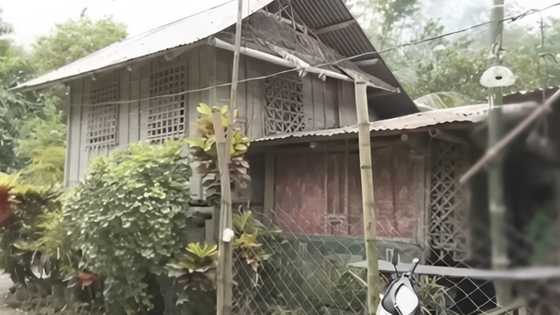 Teen girl killed after senior store owner shoots her thinking she's a robber