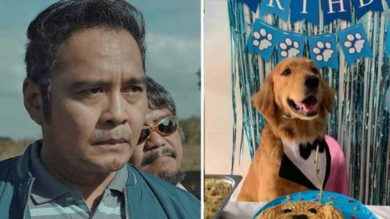 John Arcilla, sa temperament ni Killua: "Golden retrievers are not aggressive dogs"