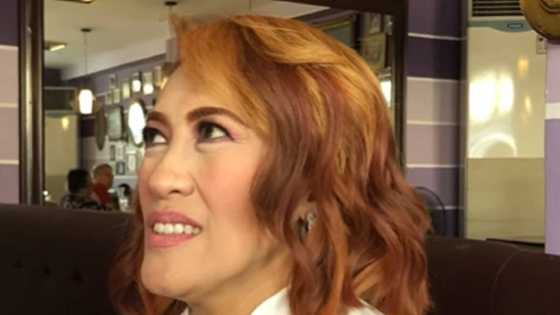 Ai-Ai delas Alas shares conversation with Vilma Santos; netizens laud their friendship