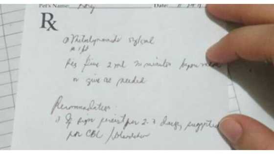 Vet, natuklasan ang pagpapainom di umano ng magulang ng gamot na pang-hayop sa anak