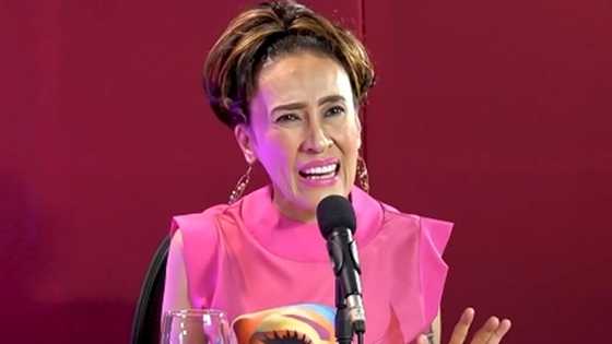 Ai-Ai Delas Alas, humagulgol sa harap ni Alden Richards matapos hiwalayan ni Gerald Sibayan