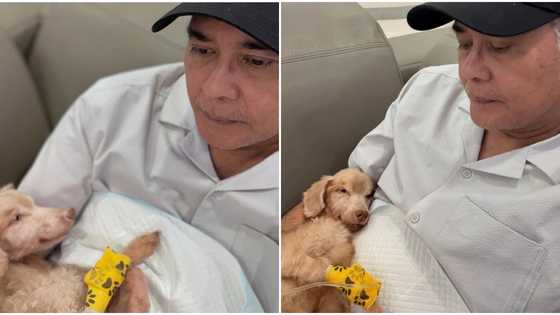 John Arcilla shares pain, struggles of caring for his sick & old pet dog