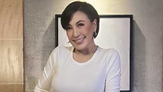 Sharon Cuneta, binalikan ang pag-interview niya sa 'F4' star na si Vic Chou