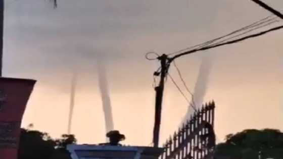 Mga ipo-ipo na nabuo sa Laguna de Bay, nakunan ng videos at mga litrato ng netizens