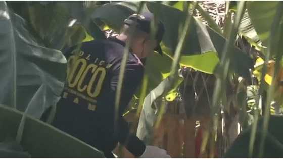 Dalagita, natagpuang patay sa isang kangkungan; pinakilalang nobyo, person of interest