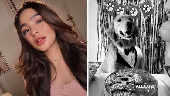 Andrea Brillantes, umalma sa nagko-comment sa post niya kay Killua na "sana mga asong kalye na lang"